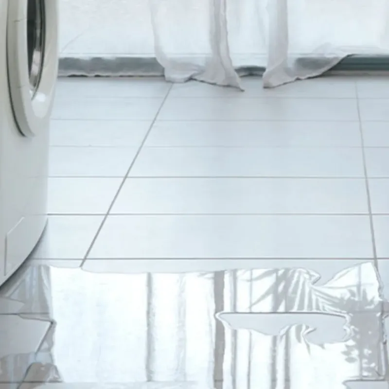Appliance Leak Cleanup in Bingham County, ID