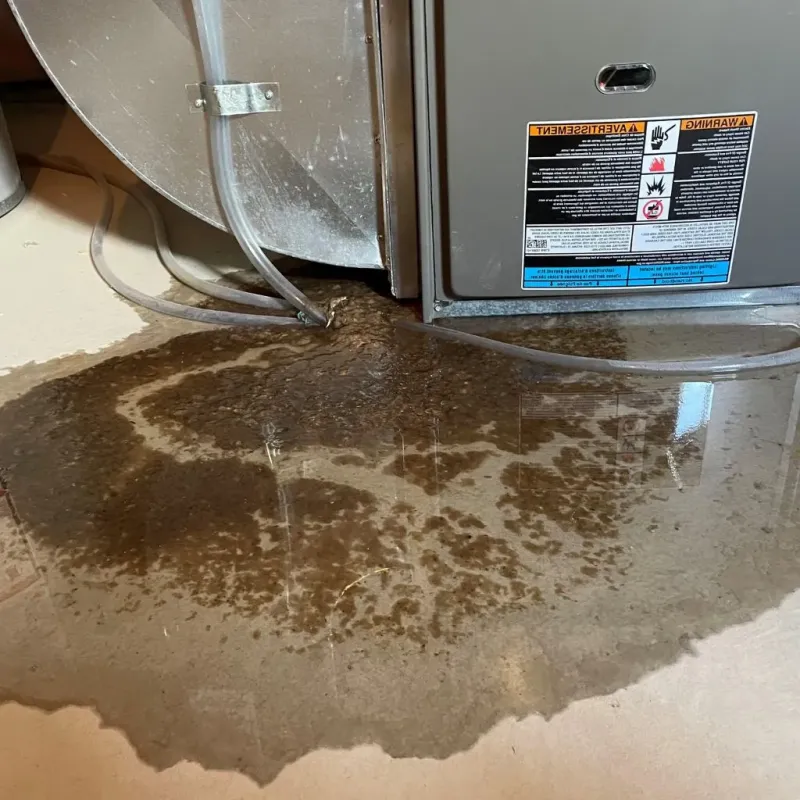 Pipe Burst and Leak Restoration in Bingham County, ID